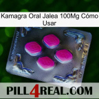 Kamagra Oral Jalea 100Mg Cómo Usar 02